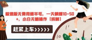 极速版无费用薅羊毛,一天躺赚10-50+,小白无脑操作【拆解】-润泽资源库