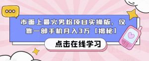 市面上最火男粉项目实操版，仅靠一部手机月入3万【揭秘】-润泽资源库
