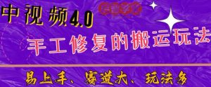 中视频4.0赛道：新手福音，一小时制作，三天过计划，7天看效果【揭秘】-润泽资源库