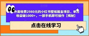 外面收费2980元的小红书壁纸掘金项目,单日收益破1000+,一部手机即可操作【揭秘】-润泽资源库