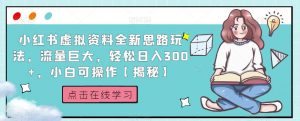 小红书虚拟资料全新思路玩法,流量巨大,轻松日入300+,小白可操作【揭秘】-润泽资源库