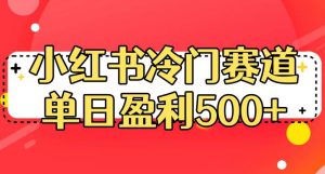 小红书冷门赛道，单日盈利500+【揭秘】-润泽资源库