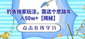 钓鱼独家玩法,靠这个思路年入50w+【揭秘】-润泽资源库