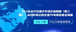 TikTok全方位通关专项企业陪跑【第三期】,从0到1真正的企业TK电商运营全流程-润泽资源库
