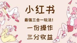 小红书最强三合一玩法，一份操作获得三份收益！【揭秘】-润泽资源库