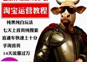 猫老师·淘系算法逆向解密,纯黑纯白玩法,七天上首页纯搜索,手淘首页14天流量过万-润泽资源库