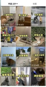 拆解：抖音盘点类中视频变现副业项目，视频版一条龙大解析分享给你-润泽资源库