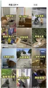 拆解抖音盘点类中视频变现副业项目，视频版一条龙大解析分享给你【视频课程】-润泽资源库