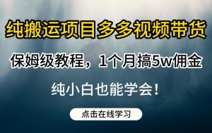 纯搬运项目多多视频带货保姆级教程，1个月搞5w佣金，纯小白也能学会【揭秘】-润泽资源库