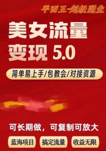 TK美女短视频变现项目无限复制(升级版),全网最高性价比项目【揭秘】-润泽资源库