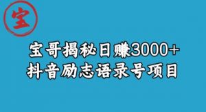 宝哥揭秘日赚3000+抖音励志语录号短视频变现项目-润泽资源库