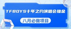 最新蓝海项目,靠最近非常火的TFBOYS十年之约演唱会流量掘金,八月必做的项目【揭秘】-润泽资源库