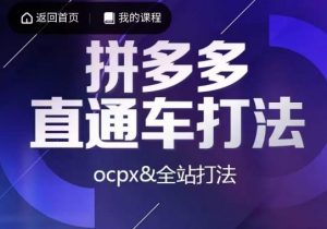 互力·拼多多直通车打法，ocpx&全站打法-润泽资源库