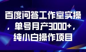 百度问答工作室实操,单号月产3000+,纯小白操作项目【揭秘】-润泽资源库