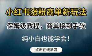 小红书涨粉商单新玩法,保姆级教程,商单接到手软,纯小白也能学会【揭秘】-润泽资源库
