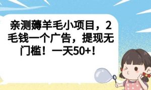 亲测薅羊毛小项目,2毛钱一个广告,提现无门槛!一天50+【揭秘】-润泽资源库