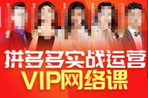 推易拼多多VIP全套直播课程,拼多多店铺实操玩法+实战玩法选款内功+直通车高阶等-润泽资源库