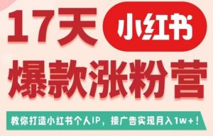 17天小红书爆款涨粉营（广告变现方向），教你打造小红书博主IP、接广告变现的-润泽资源库