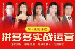 2023推易拼多多实战运营，选款测品、引爆流量、高点击转化、规则解析-润泽资源库