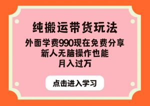 纯搬运带货玩法，外面学费990现在免费分享，新人无脑操作也能月入过万【揭秘】-润泽资源库