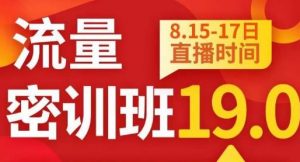 秋秋线上流量密训班19.0,打通流量关卡,线上也能实战流量破局-润泽资源库