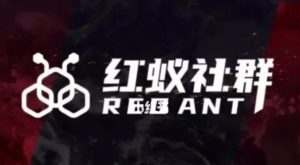 社群运营:红蚁社群【48节落地系统课程+2000人高端社群】-润泽资源库