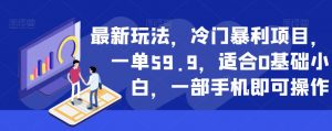 最新玩法，冷门暴利项目，一单59.9，适合0基础小白，一部手机即可操作【揭秘】-润泽资源库