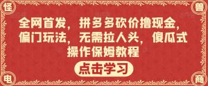 全网首发，拼多多砍价撸现金，偏门玩法，无需拉人头，傻瓜式操作保姆教程【揭秘】-润泽资源库
