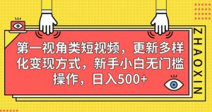 第一视角类短视频，更新多样化变现方式，新手小白无门槛操作，日入500+【揭秘】-润泽资源库