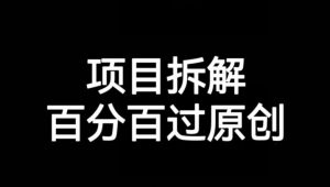 项目拆解赛道百分百过原创【揭秘】-润泽资源库