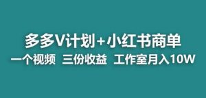 【蓝海项目】多多v计划+小红书商单一个视频三份收益工作室月入10w-润泽资源库