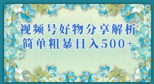 视频号好物分享解析,简单粗暴可以批量方大的项目【揭秘】-润泽资源库