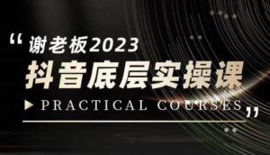 蟹老板·2023抖音底层实操课,打造短视频的底层认知-润泽资源库