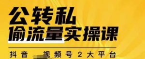群响公转私偷流量实操课,致力于拥有更多自持,持续,稳定,精准的私域流量!-润泽资源库