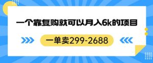 一单卖299-2688,一个靠复购就可以月入6k的暴利项目【揭秘】-润泽资源库