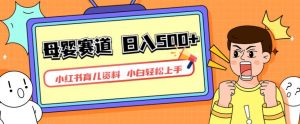 小红书育儿资料，一部手机可操作，多种变现方式，日入500+，私域变现，长期可持续项目【揭秘】-润泽资源库