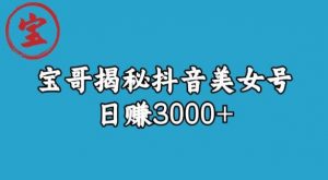 宝哥揭秘抖音美女号玩法,日赚3000+【揭秘】-润泽资源库