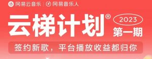 2023年8月份网易云最新独家挂机技术，真正实现挂机月入5000【揭秘】-润泽资源库