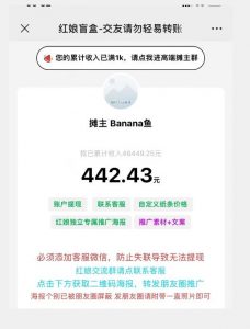 盲盒交友5.0，男粉变现实操项目，亲测变现效果极好【揭秘】-润泽资源库