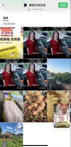 外面收费198的最新视频号连怼技术，条条原创，条条爆单【揭秘】-润泽资源库