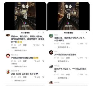 副业拆解:抖音杰伦音乐号涨粉变现项目,视频版一条龙实操玩法分享给你-润泽资源库