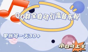 QQ群全自动引流音乐粉，单账号一天轻松引流30+-润泽资源库