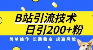 B站引流技术：每天引流200精准粉，简单操作，长期稳定，规避风险-润泽资源库
