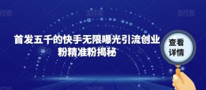 首发五千的快手无限曝光引流创业粉精准粉揭秘-润泽资源库