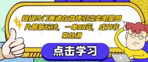 超级冷门赛道在微博引流卖明星图片最新玩法，一单88元，成交非常丝滑【揭秘】-润泽资源库