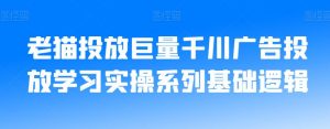 老猫投放巨量千川广告投放学习实操系列基础逻辑-润泽资源库