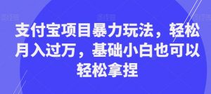 支付宝项目暴力玩法,轻松月入过万,基础小白也可以轻松拿捏【揭秘】-润泽资源库