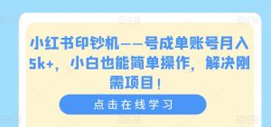 小红书印钞机——号成单账号月入5k+,小白也能简单操作,解决刚需项目【揭秘】-润泽资源库