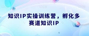 知识IP实操训练营，​孵化多赛道知识IP-润泽资源库
