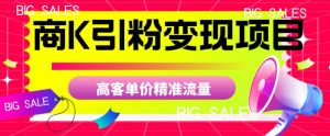 商K引粉变现项目，高客单价精准流量【揭秘】-润泽资源库
